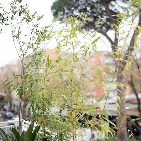 Appartamento A Pochi Minuti Da Trastevere Sangio *